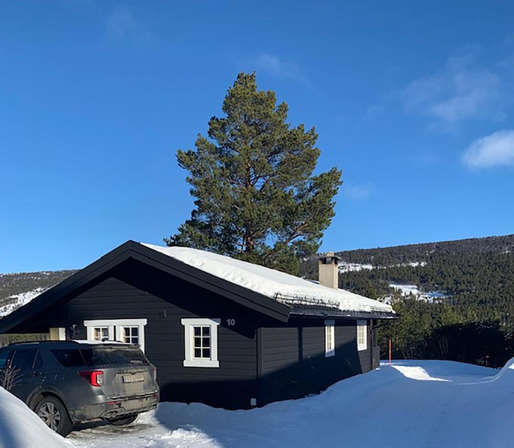 Uvdalhytta - Close To Cross Country And Downhill Skiing Sonstebo Exterior photo