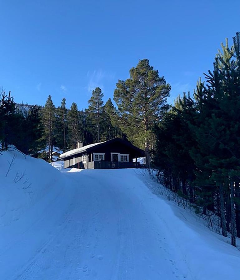 Uvdalhytta - Close To Cross Country And Downhill Skiing Sonstebo Exterior photo